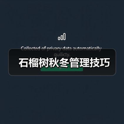 石榴树秋冬管理技巧(图2) 石榴树秋冬管理技巧(图2)