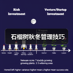 石榴树秋冬管理技巧(图1) 石榴树秋冬管理技巧(图1)