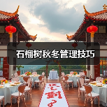 石榴树秋冬管理技巧(图3) 石榴树秋冬管理技巧(图3)