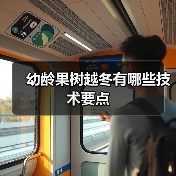 幼龄果树越冬有哪些技术要点(图2) 幼龄果树越冬有哪些技术要点(图2)
