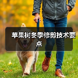 苹果树冬季修剪技术要点(图4)
