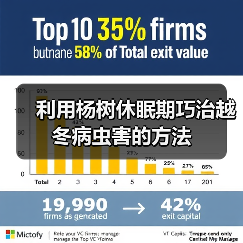 利用杨树休眠期巧治越冬病虫害的方法(图4) 利用杨树休眠期巧治越冬病虫害的方法(图4)
