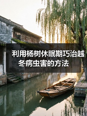 利用杨树休眠期巧治越冬病虫害的方法(图2) 利用杨树休眠期巧治越冬病虫害的方法(图2)