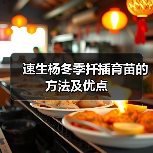 速生杨冬季扦插育苗的方法及优点(图3) 速生杨冬季扦插育苗的方法及优点(图3)