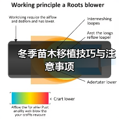 冬季苗木移植技巧与注意事项(图2) 冬季苗木移植技巧与注意事项(图2)