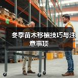 冬季苗木移植技巧与注意事项(图3) 冬季苗木移植技巧与注意事项(图3)