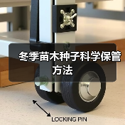 冬季苗木种子科学保管方法(图4)