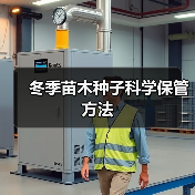 冬季苗木种子科学保管方法(图3)