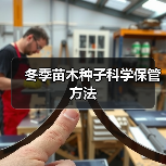 冬季苗木种子科学保管方法(图2)