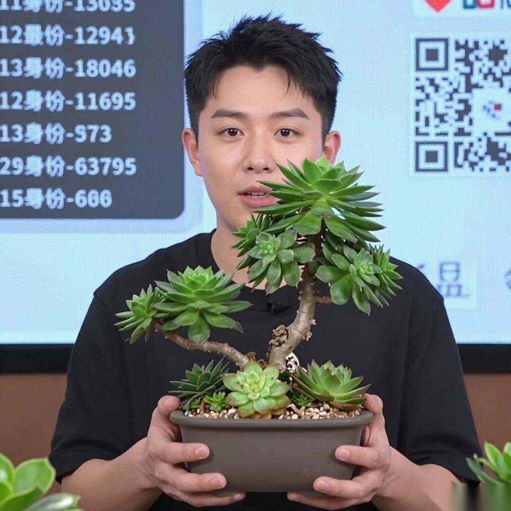 盆景贸易大会选型指南｜电商直播与拍卖夜实战策略(图2)