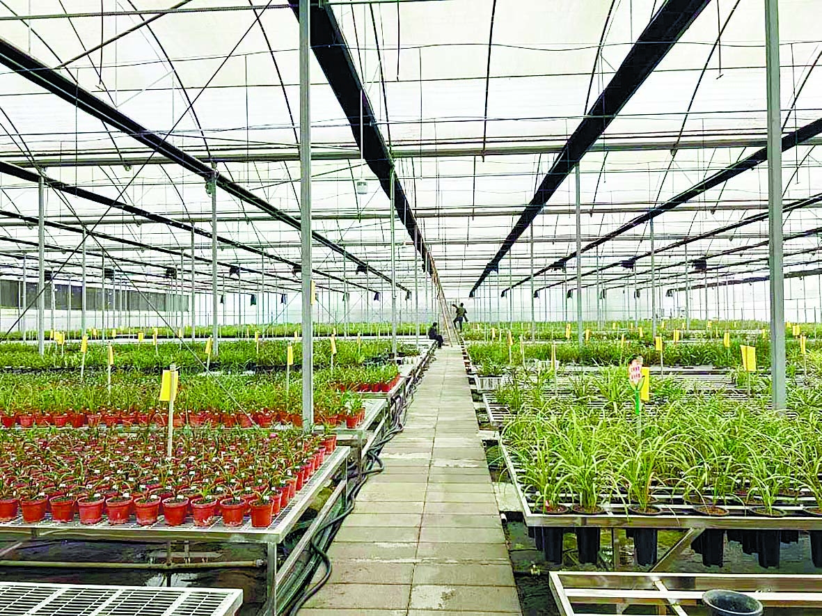 三大方向发力 推动成都花卉产业升级(图4)