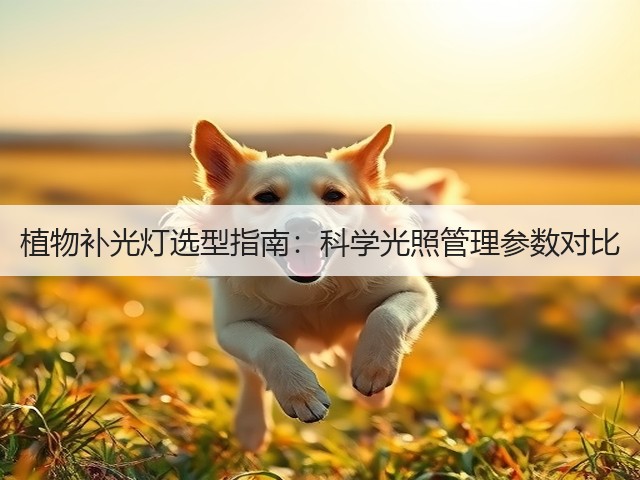 植物补光灯选型指南:科学光照管理参数对比(图3) 植物补光灯选型指南:科学光照管理参数对比(图3)