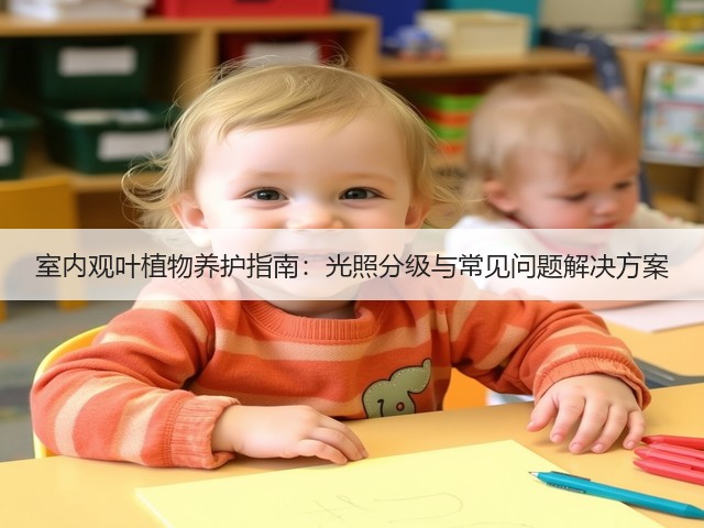 室内观叶植物养护指南：光照分级与常见问题解决方案(图3)
