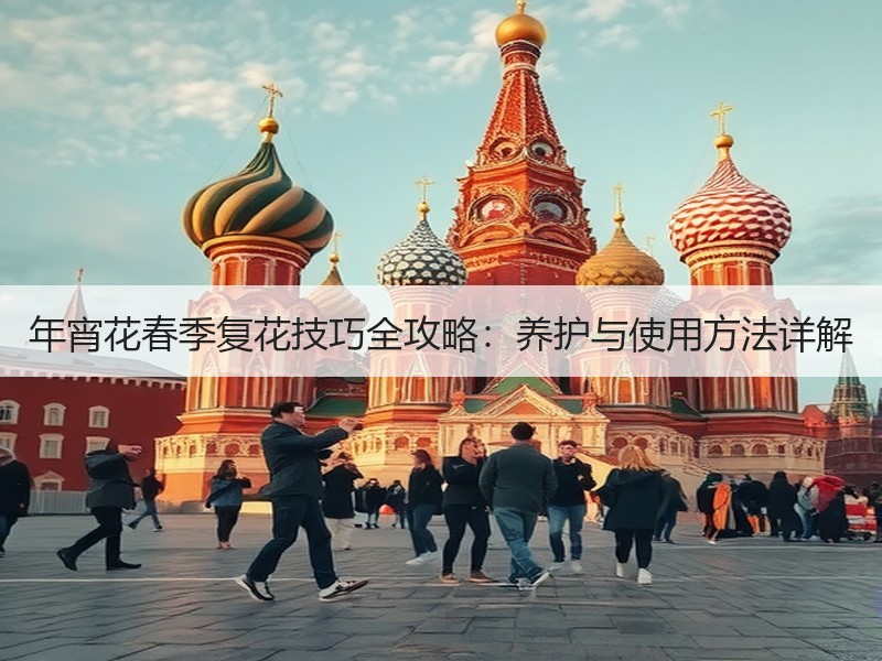 年宵花春季复花技巧全攻略：养护与使用方法详解