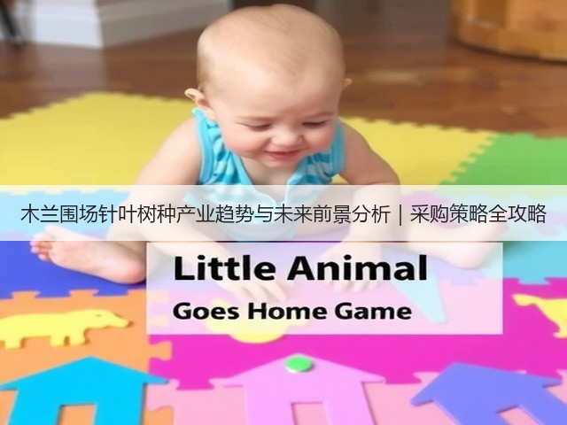 木兰围场针叶树种产业趋势与未来前景分析｜采购策略全攻略(图1)