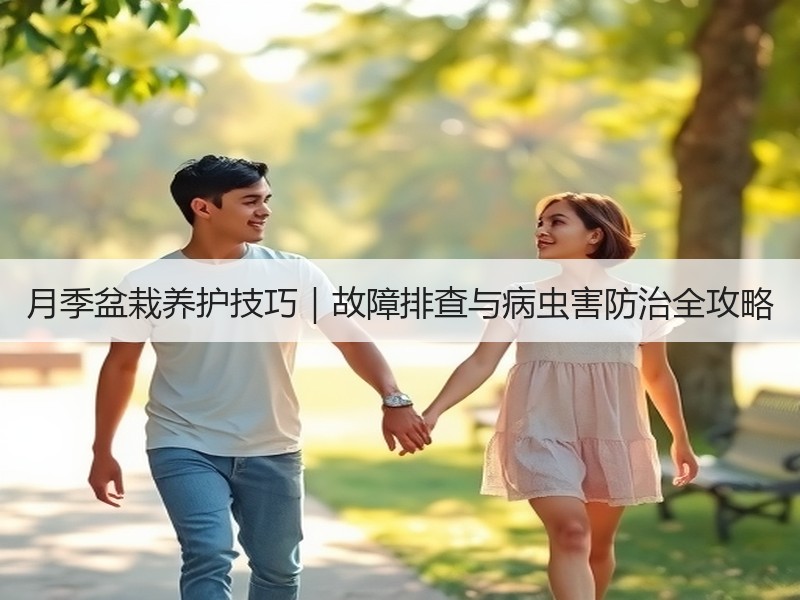 月季盆栽养护技巧｜故障排查与病虫害防治全攻略