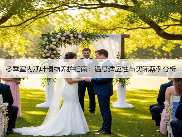 冬季室内观叶植物养护指南：温度适应性与实际案例分析(图2)