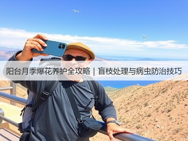 阳台月季爆花养护全攻略|盲枝处理与病虫防治技巧(图3) 阳台月季爆花养护全攻略|盲枝处理与病虫防治技巧(图3)