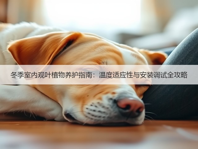 冬季室内观叶植物养护指南：温度适应性与安装调试全攻略(图2)