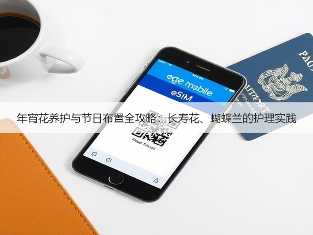 年宵花养护与节日布置全攻略:长寿花、蝴蝶兰的护理实践(图3) 年宵花养护与节日布置全攻略:长寿花、蝴蝶兰的护理实践(图3)