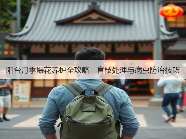 阳台月季爆花养护全攻略|盲枝处理与病虫防治技巧(图2) 阳台月季爆花养护全攻略|盲枝处理与病虫防治技巧(图2)