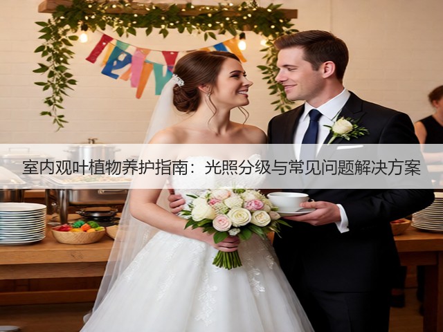 室内观叶植物养护指南：光照分级与常见问题解决方案(图2)