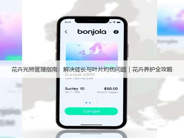 花卉光照管理指南:解决徒长与叶片灼伤问题|花卉养护全攻略(图2) 花卉光照管理指南:解决徒长与叶片灼伤问题|花卉养护全攻略(图2)