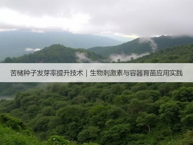 苦槠种子发芽率提升技术|生物刺激素与容器育苗应用实践(图3) 苦槠种子发芽率提升技术|生物刺激素与容器育苗应用实践(图3)