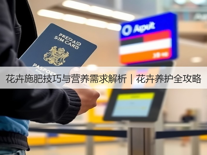 花卉施肥技巧与营养需求解析｜花卉养护全攻略