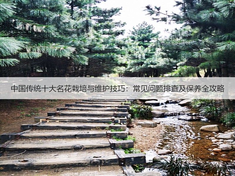 中国传统十大名花栽培与维护技巧：常见问题排查及保养全攻略