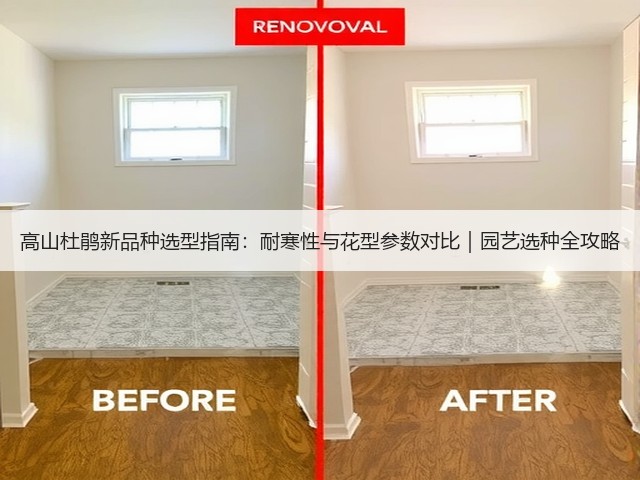高山杜鹃新品种选型指南:耐寒性与花型参数对比|园艺选种全攻略(图2) 高山杜鹃新品种选型指南:耐寒性与花型参数对比|园艺选种全攻略(图2)