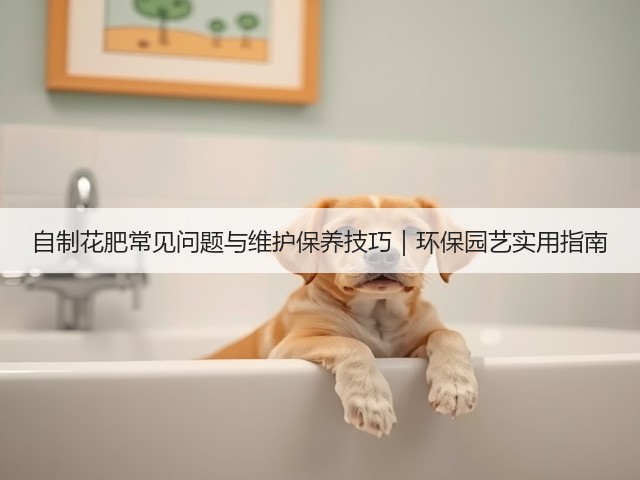 自制花肥常见问题与维护保养技巧｜环保园艺实用指南(图2)
