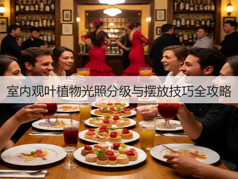 室内观叶植物光照分级与摆放技巧全攻略