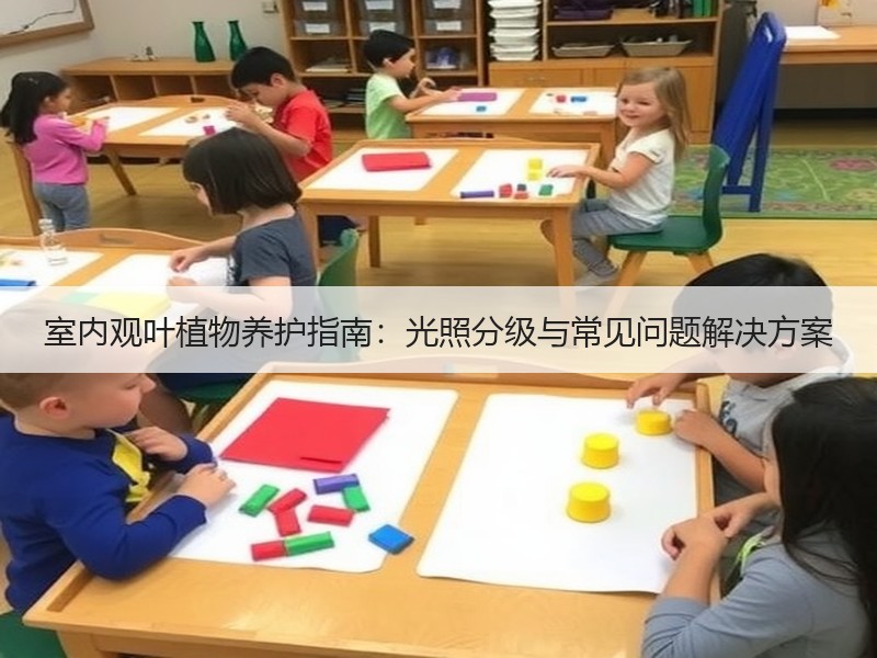 室内观叶植物养护指南：光照分级与常见问题解决方案