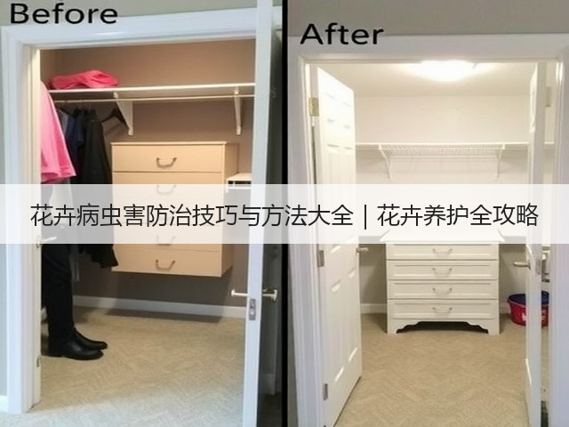 花卉病虫害防治技巧与方法大全｜花卉养护全攻略(图2)