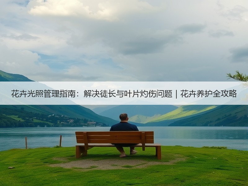 花卉光照管理指南：解决徒长与叶片灼伤问题｜花卉养护全攻略